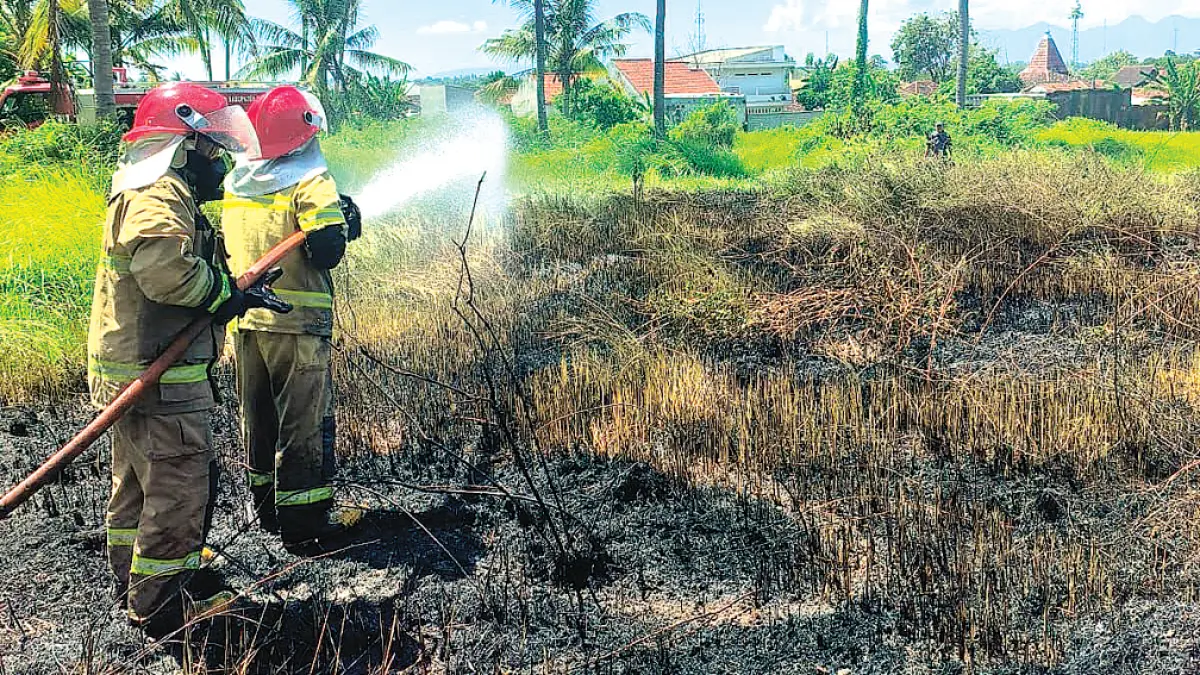 NYARIS MEREMBET: Petugas Damkarmat memadamkan api yang membakar lahan kosong di dekat Kantor Kelurahan Sumberrejo, Kecamatan Banyuwangi, Senin (11/5). (Humas Damkarmat Banyuwangi)
