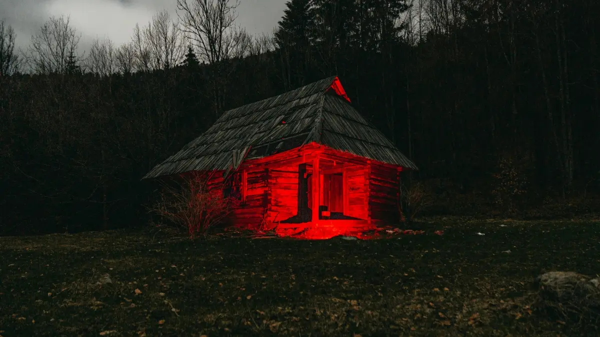 Penelitian terbaru menemukan infrasound. (Pexels/Daniel Eliashevsky)
