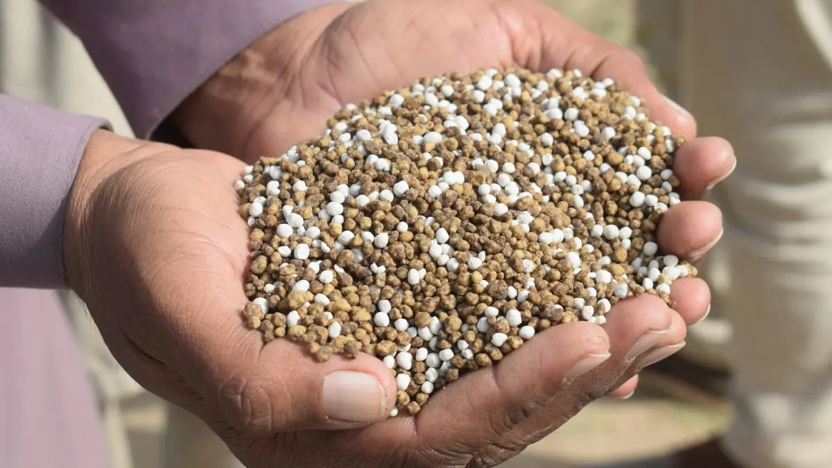 Perang Iran memicu lonjakan harga pupuk dan bahan bakar di Asia. (Pexels/Kashif Shah)