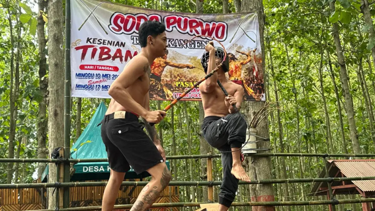 Tradisi Tiban Sodo Purwo Banyuwangi kembali digelar 10-17 Mei 2026. Ritual adu pecut warisan leluhur Osing diserbu warga dan generasi muda. (banyuwangitourism.com)