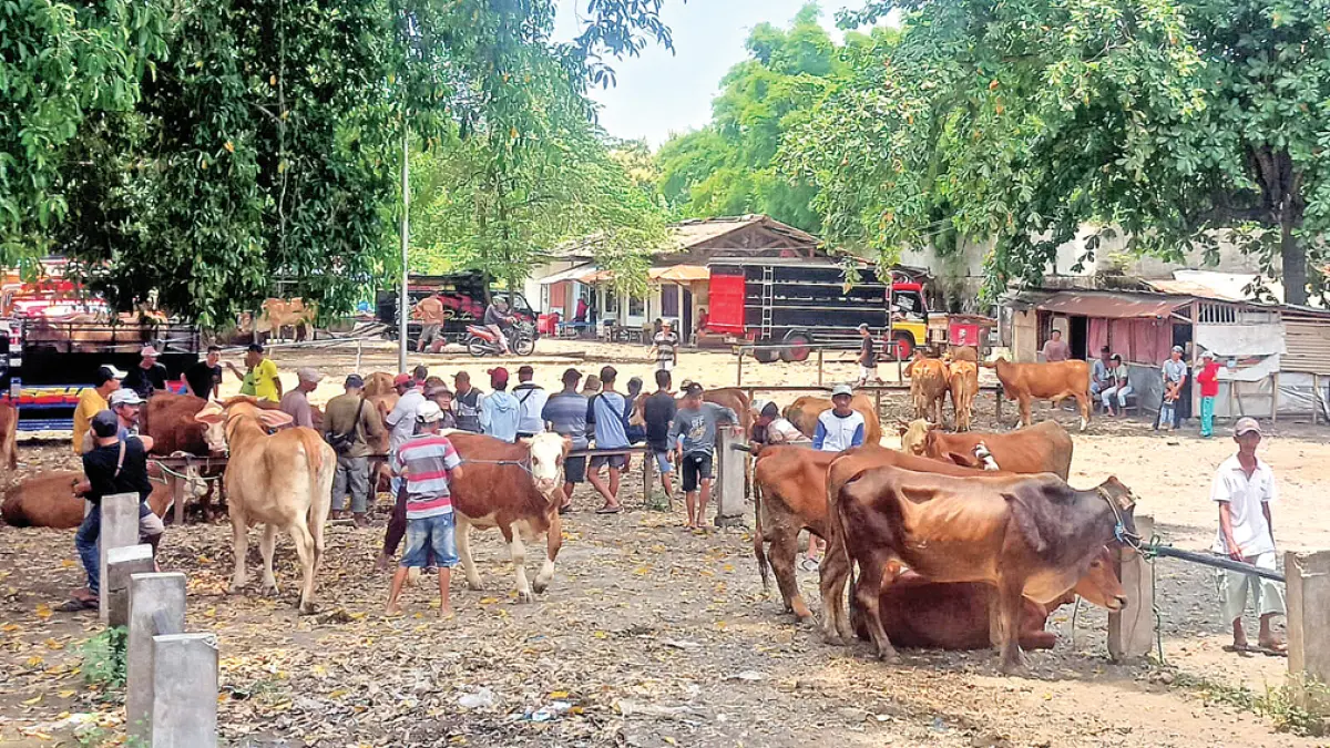 RAMAI: Sejumlah pedagang dan pembeli mendatangi Pasar Hewan Rogojampi, Rabu (20/5). (Zamrozi Wahyu/Radar Banyuwangi)