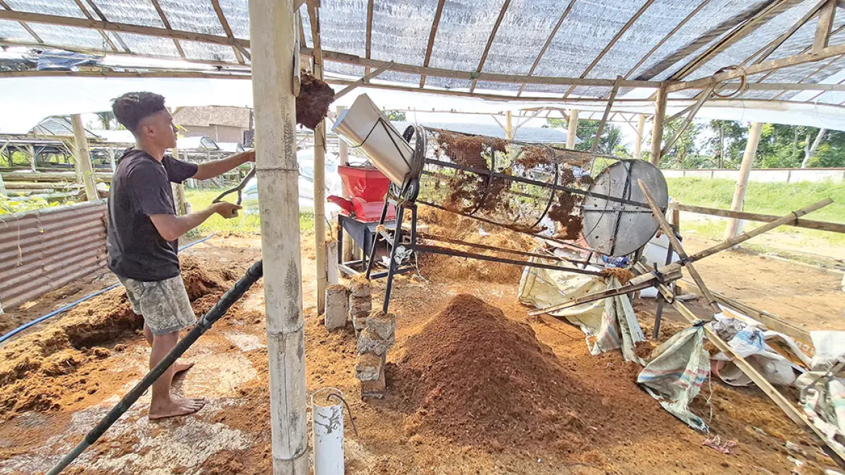BERNILAI EKONOMI: Perajin memisahkan serat sabut dan serbuk sabut kelapa di Desa Gendoh, Kecamatan Sempu, Rabu (20/5). (Salis Ali/Radar Banyuwangi)
