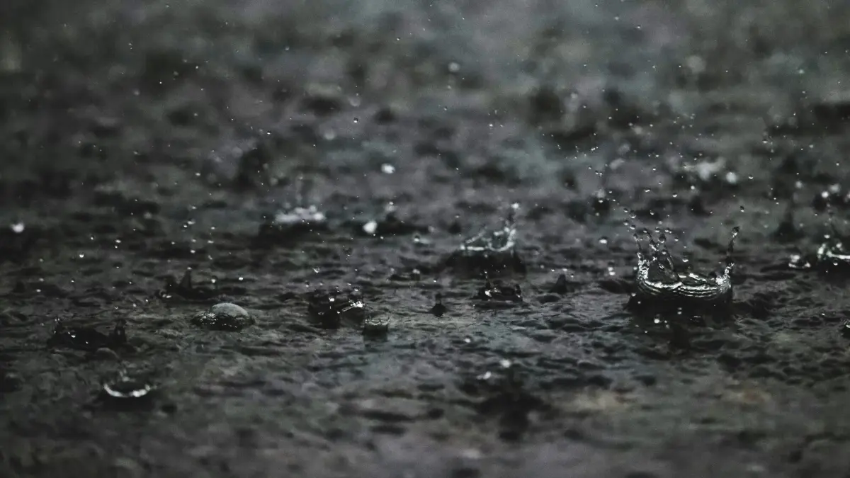 El Niño 2026 mulai menguat. (Pexels/brazil topno)