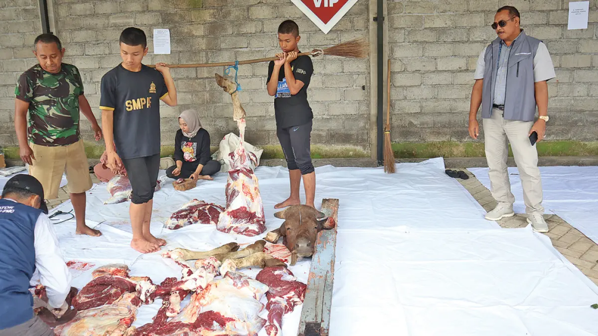GUYUB: Siswa Smadatara terlibat aktif dalam dalam proses penyembelihan ternak hingga pendistribusian daging kurban, Kamis (28/5). (Salis Ali/Radar Banyuwangi)