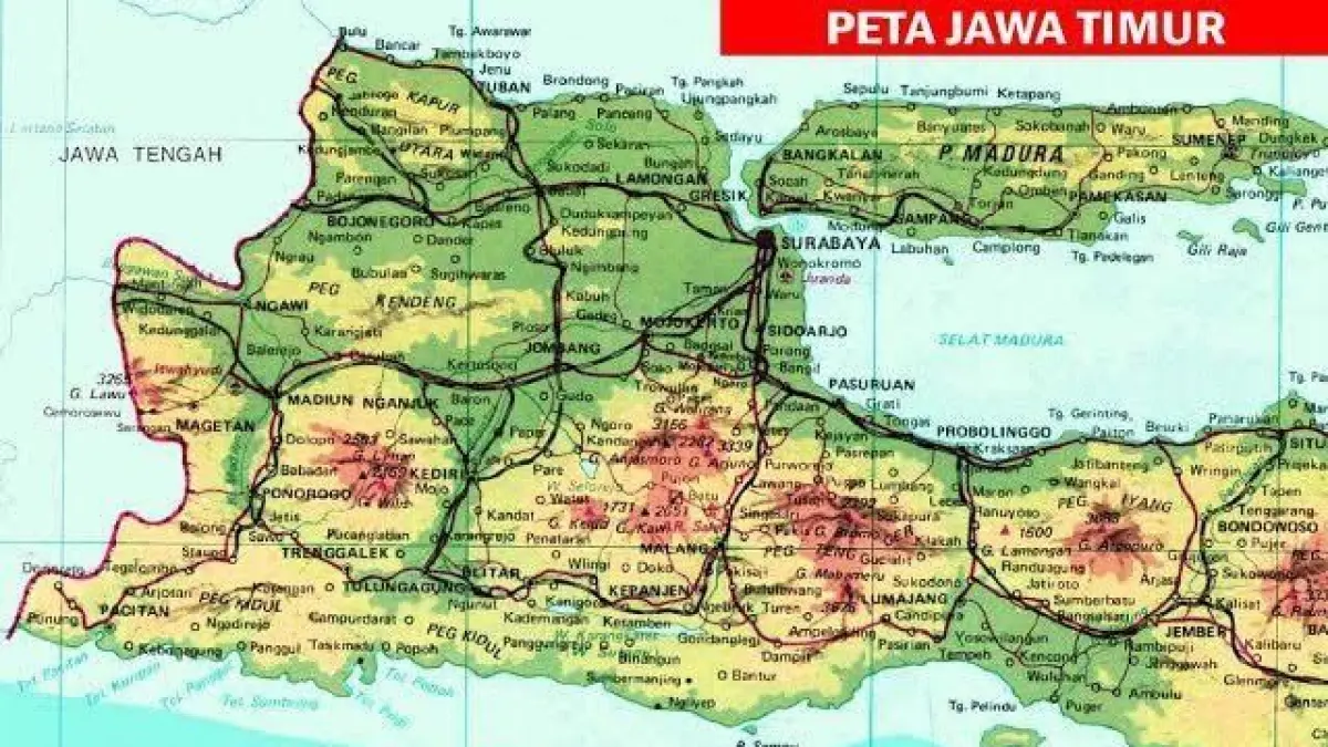 Peta Provinsi Jawa Timur. (Pinterest)