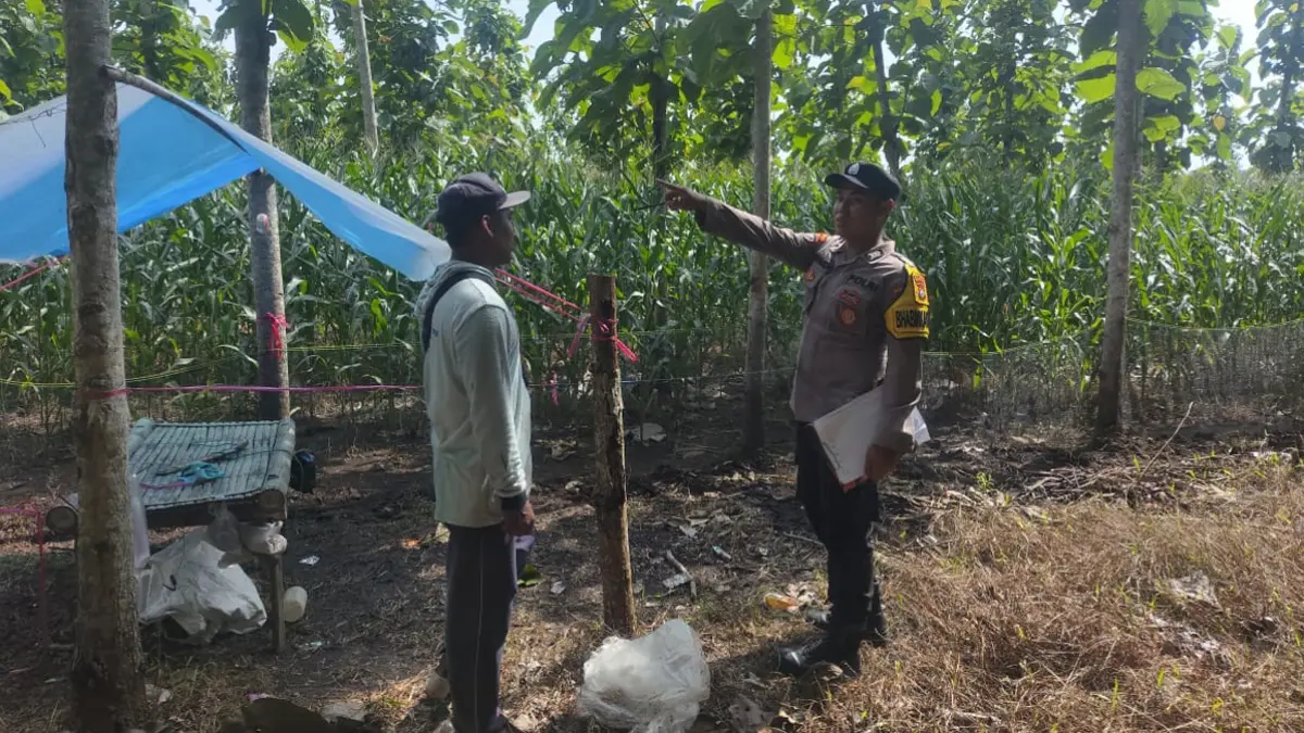 Anggota Polsek Tegaldlimo menemui warga di area persawahan Desa Kalipait, Kecamatan Tegaldlimo supaya tidak panik terkait informasi hoaks macan lepas dari TN Alaspurwo, Rabu (3/6). (Zamrozi Wahyu/Radar Banyuwangi)