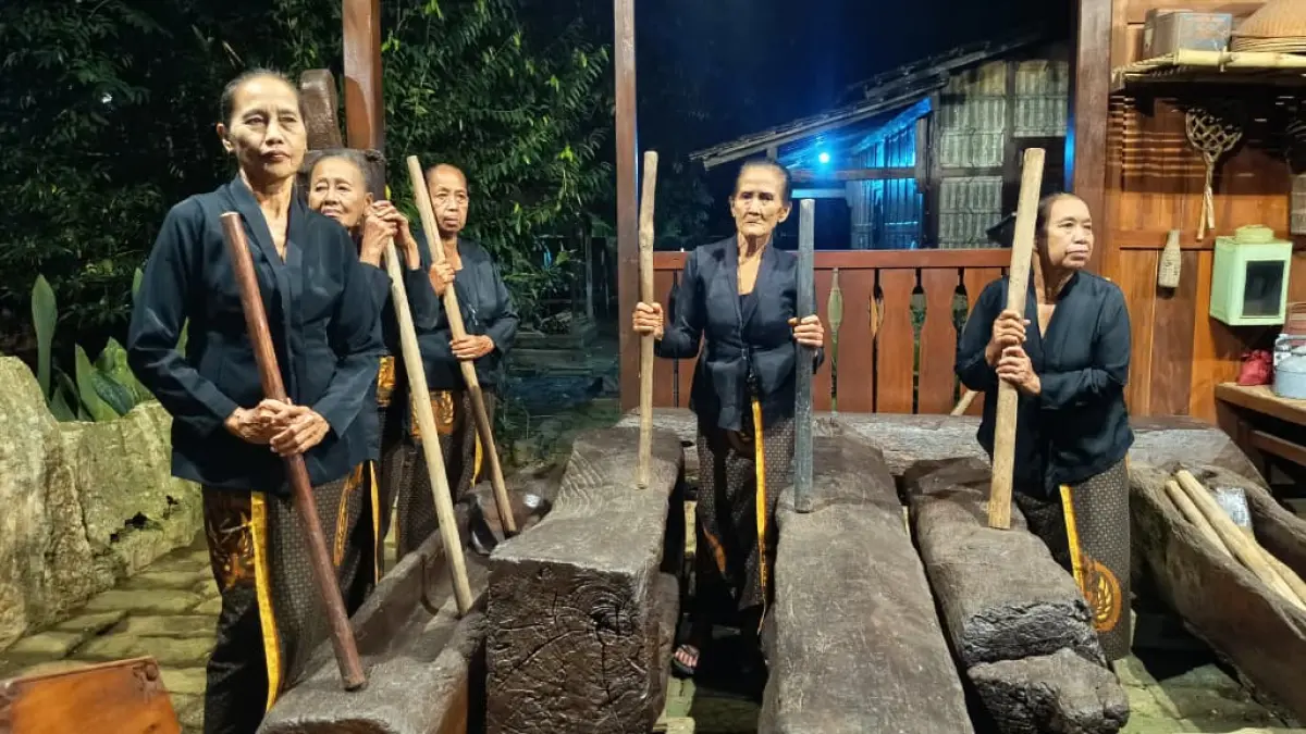 IRAMA TRADISIONAL : Mbok Othek dengan mengenakan baju adat Osing bersiap memukul Lesung dengan Alu yang memunculkan irama lokal. Sanggar Genjah Arum masih menyuguhkan atraksi ini saat ada kunjungan tamu. (Gerda/RadarBanyuwangi.id)