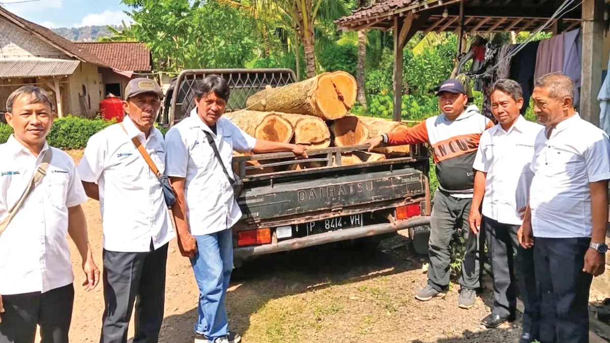 Petugas mengamankan kayu jati gelondongan tanpa dokumen sah di pekarangan kosong di Dusun Senepo Lor, Desa Barurejo, Kecamatan Siliragung Senin (8/6). ((Edi for Radar Banyuwangi)