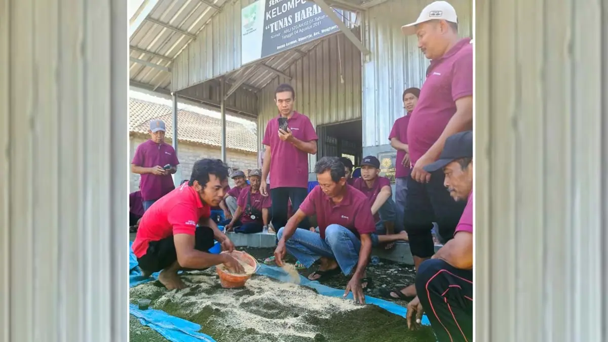Kelompok Tani Tunas Harapan Wongsorejo saat belajar membuat pupuk bagian dari SLPHT dari Bank Indonesia Jember. (Toha/Radar Banyuwangi)