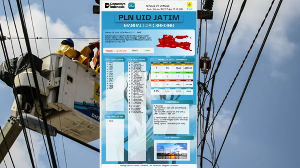 Hoaks atau Fakta? PLN buka suara soal infografis viral terkait pemadaman bergilir di Jawa Timur. (Tangkapan Layar Medsos)