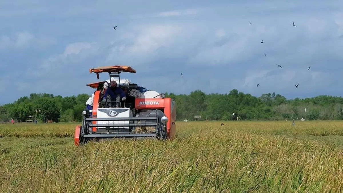 Dialog Wakil Presiden Gibran Rakabuming Raka dengan petani Gorontalo viral usai membahas combine harvester. (Trenggalek Jenggelek)