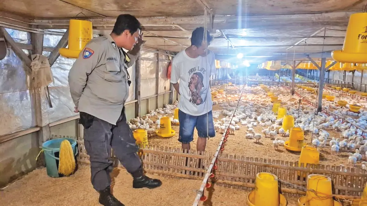 Bhabinkamtibmas Desa Gentengwetan meninjau salah satu usaha peternakan ayam milik warga di Dusun Resomulyo. (Sukri for Radar Banyuwangi)