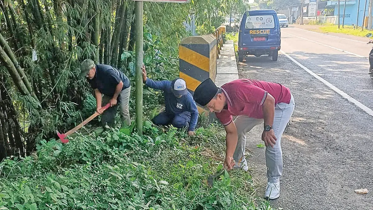 Petugas Kecamatan Genteng bahu-membahu membabat rumput liar di pinggir jalan utama Desa Kembiritan, Kecamatan Genteng, Jumat (3/7). (Salis Ali/Radar Banyuwangi)