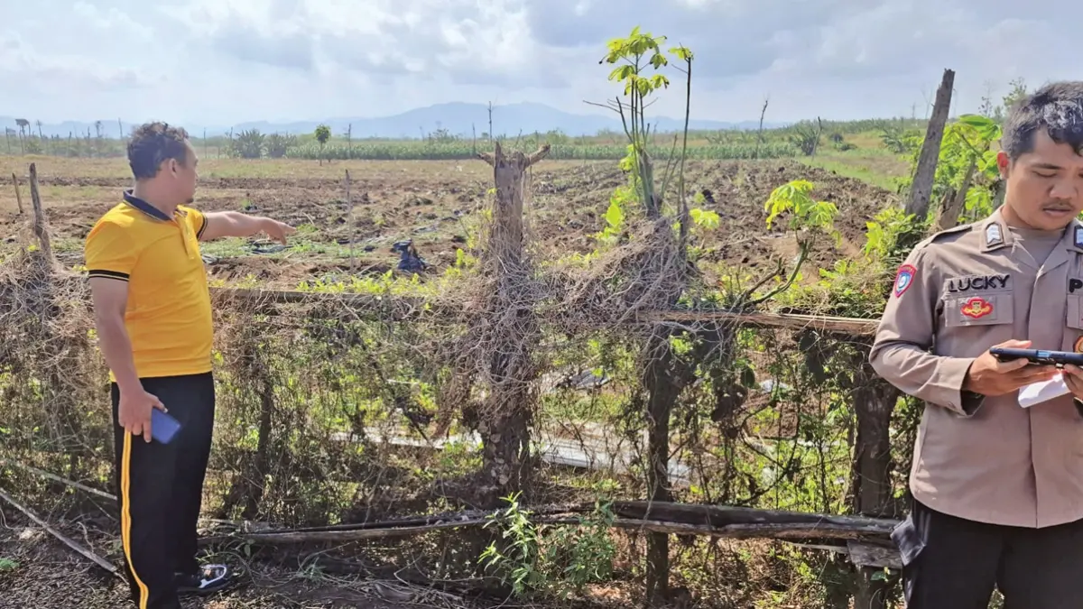 Tim Unit Reskrim Polsek Pesanggaran saat mengecek TKP dugaan perusakan lahan di kawasan Kampung Baru Lampon, Dusun Ringinsari, Desa/Kecamatan Pesanggaran, Selasa (7/7). (Salis Ali/Radar Banyuwangi)