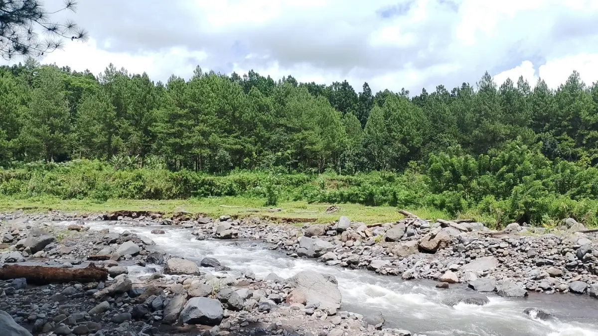 Sungai Badeng di Desa Sumberbulu, Songgon, Banyuwangi, menawarkan panorama sungai jernih dan hutan pinus. (Rahma untuk Radar Banyuwangi)
