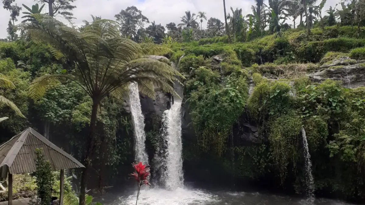 Air Terjun Kembar Arum di Desa Sumberarum, Songgon, Banyuwangi. (Meivira untuk Radar Banyuwangi)