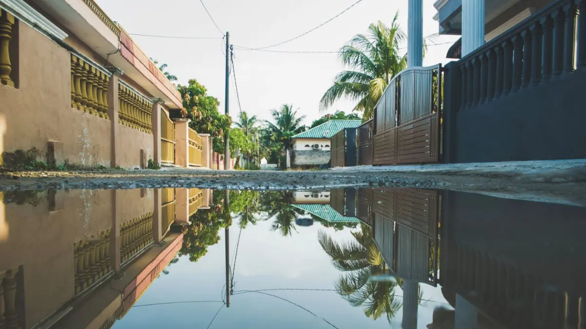 Leptospirosis atau penyakit kencing tikus mengintai dari genangan air dan lingkungan tercemar. (Pexels/Naeem Ashaari)