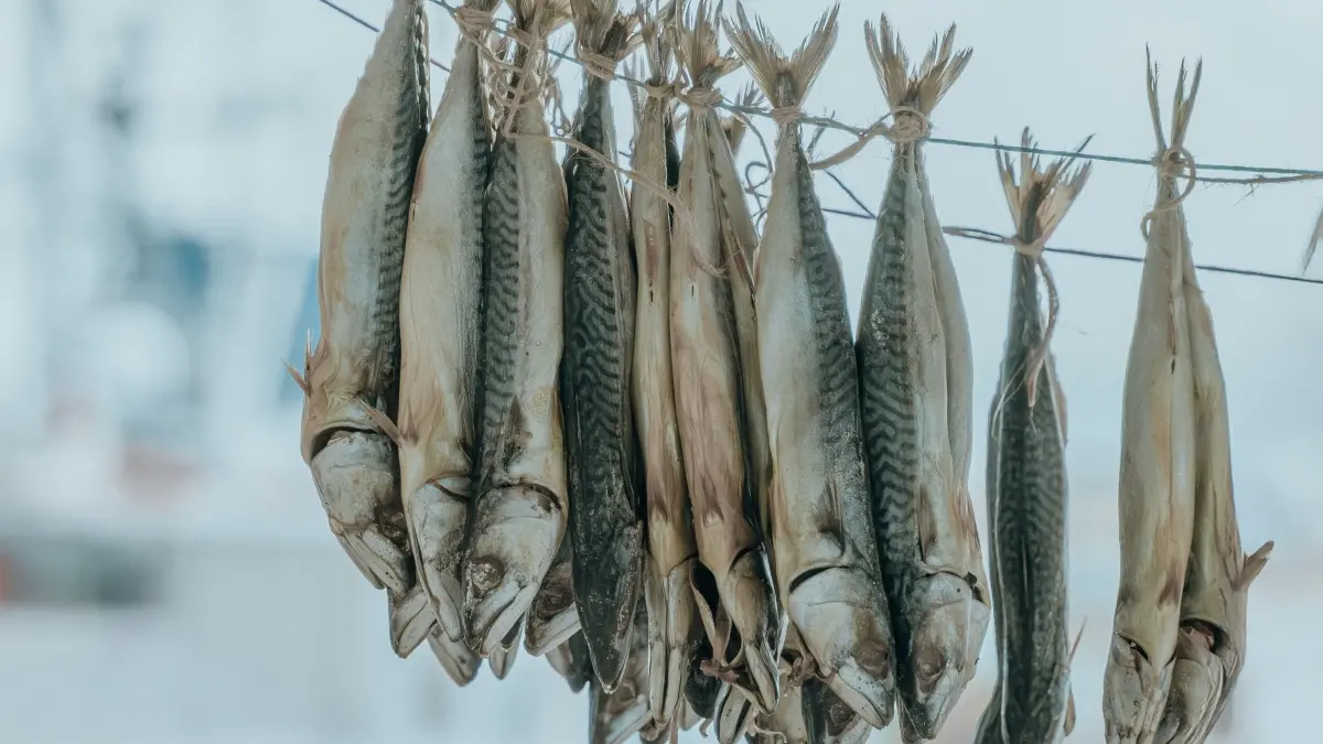 Konsumsi ikan asin dikaitkan dengan peningkatan risiko kanker nasofaring akibat senyawa nitrosamin. (Pexels/Ebrar photography)