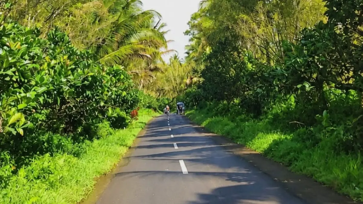 Jalan Kalibendo di Kecamatan Glagah, Banyuwangi memiliki tanjakan dan turunan curam menuju kawasan wisata Gunung Ijen. (Balquisse untuk Radar Banyuwangi)
