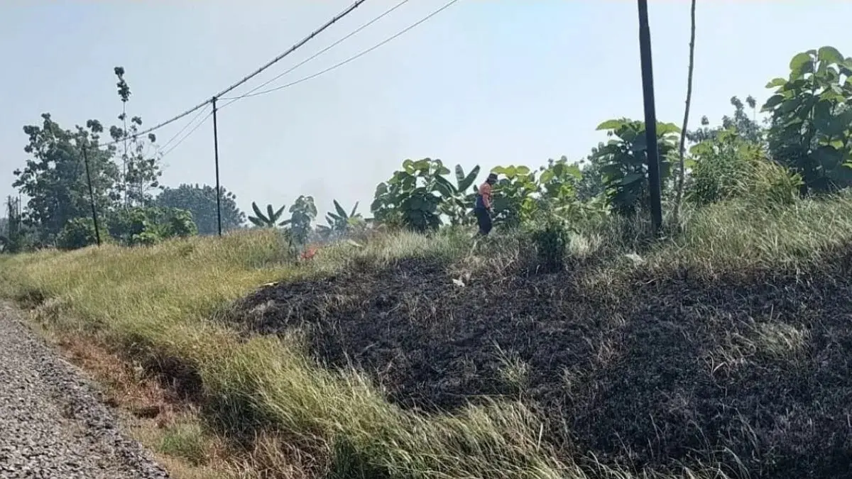 KAI Daop 7 Madiun melarang pembakaran jerami dan sampah di sekitar jalur kereta api selama musim kemarau. (Antara)