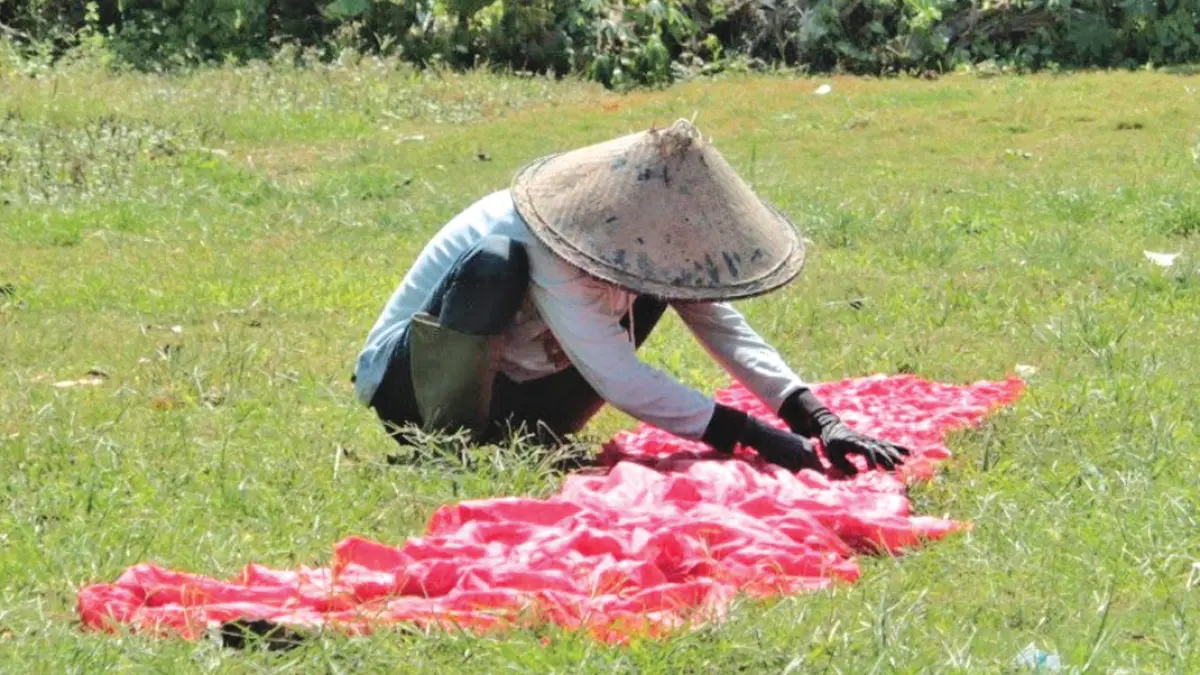 Salah satu pegawai pabrik batik cap di Desa Jambewangi, Kecamatan Sempu, menjemur kain batik yang baru diberi pewarna, Rabu (22/7). (Salis Ali/Radar Banyuwangi)