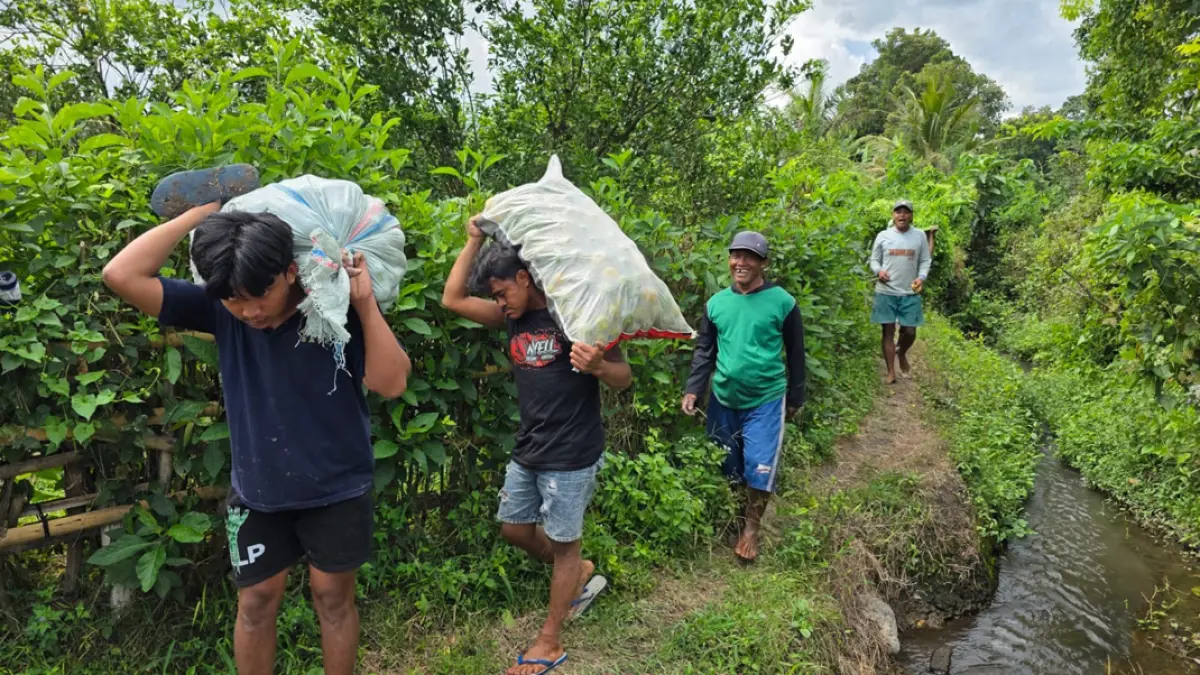 Warga mengamankan dua terduga pencuri jeruk di Desa Purwodadi, Kecamatan Gambiran, sebelum diserahkan kepada pihak kepolisian pada Kamis (23/7). (Hadi Winarto for Radar Banyuwangi)