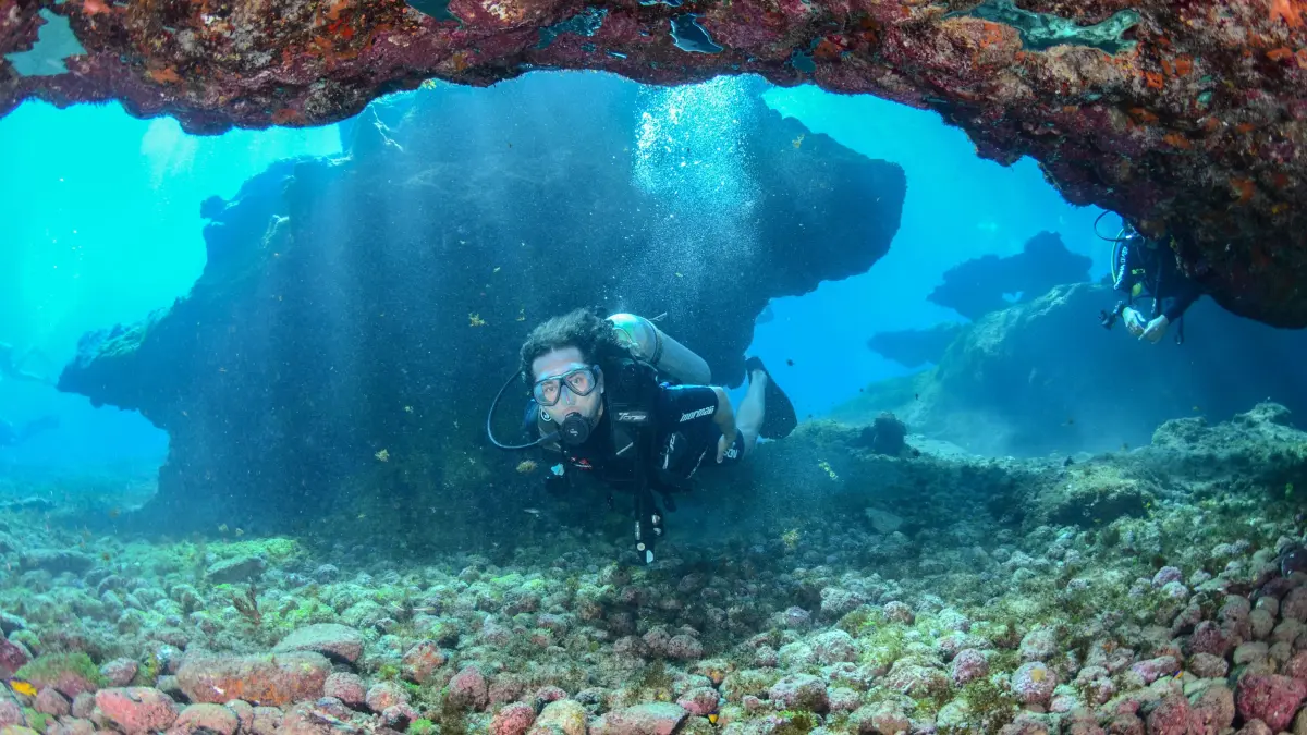 Ilustrasi - Diving di Banyuwangi. (Pexels/Phabricius Monteirus)