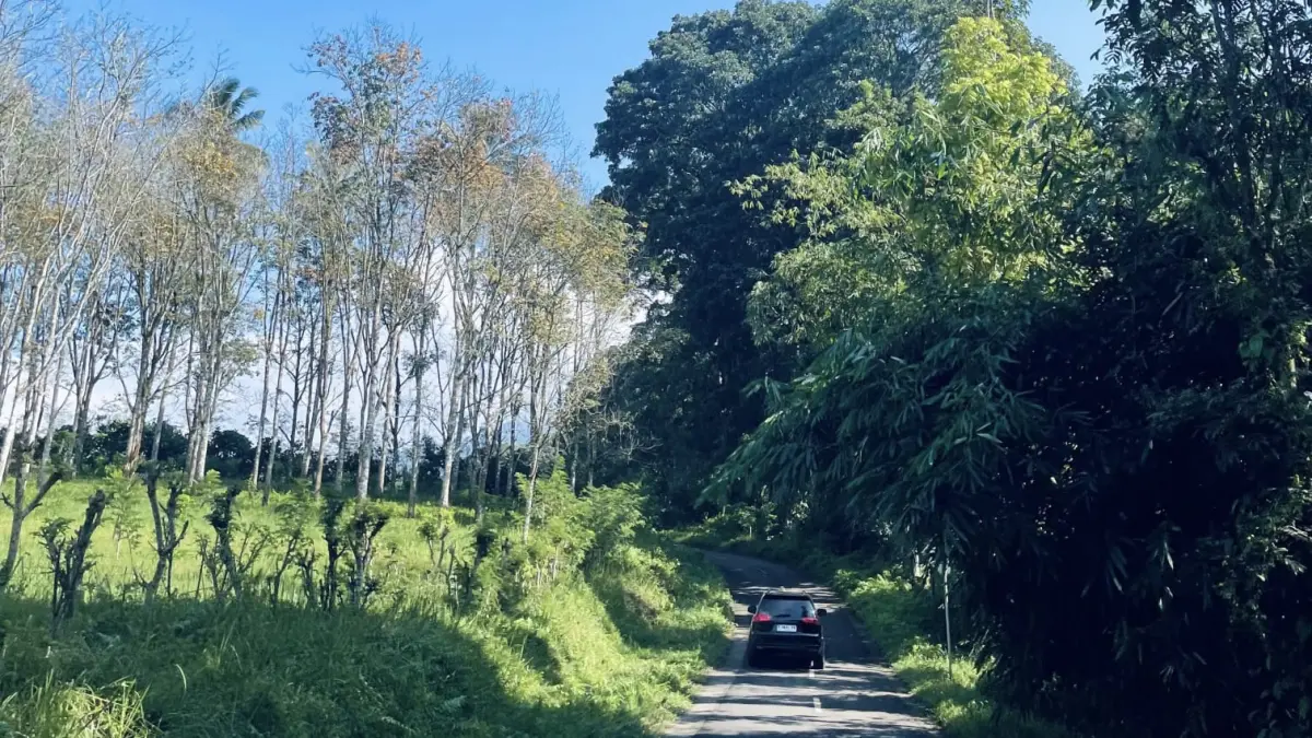 Kawasan Kalibendo di Glagah, Banyuwangi, tetap menjadi destinasi favorit menikmati udara sejuk dan suasana asri. (Desi untuk Radar Banyuwangi)