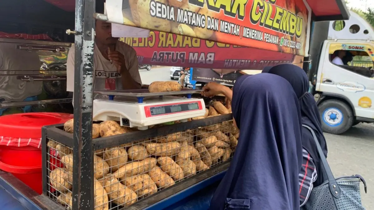 Rahasia manis alami Ubi Cilembu. (Radar Palu)