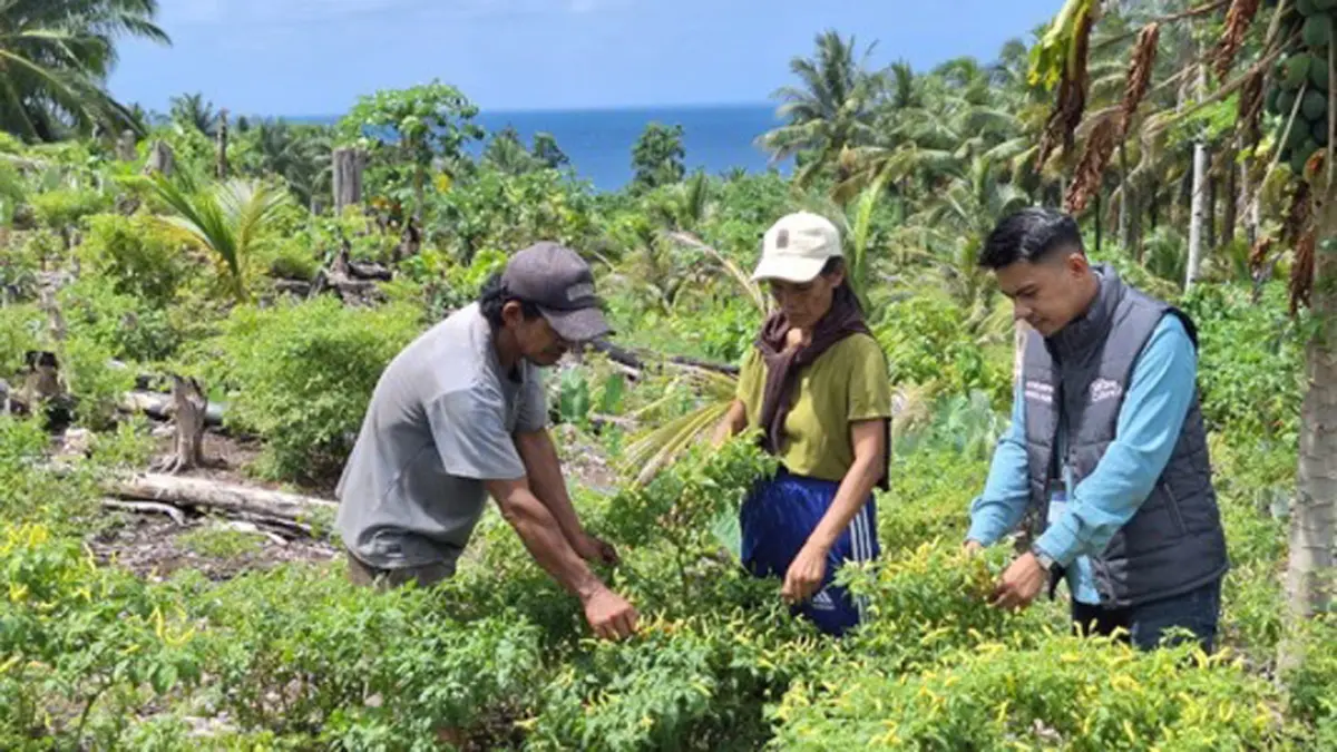 Kisah Andrew, mantri BRI yang rela menempuh waktu dua jam demi layani UMKM Talaud. (Foto: BRI)