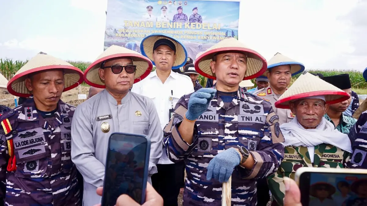Sinergi TNI AL dan Pemkab Banyuwangi Pacu Produksi Kedelai, Bidik Ketahanan Pangan Nasional. (banyuwangikab.go.id)