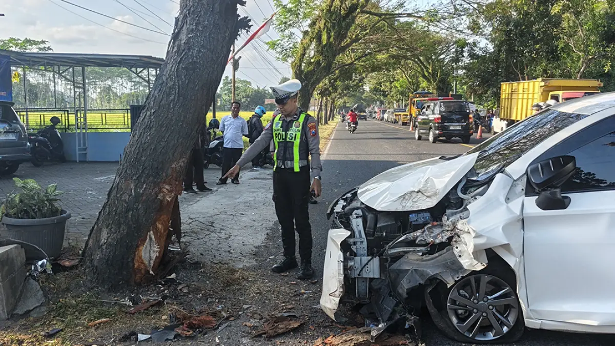 KECELAKAAN TUNGGAL: Anggota Unit Lantas Polsek Rogojampi menunjukkan kondisi pohon pasca ditabrak mobil di Jalan Raya Desa/Kecamatan Kabat, Selasa (4/8). (Gatot for Radar Banyuwangi)