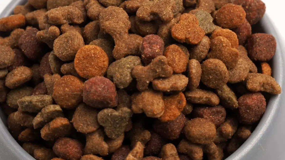 Mengintip proses modern pembuatan kibble anjing. (YouTube/How It