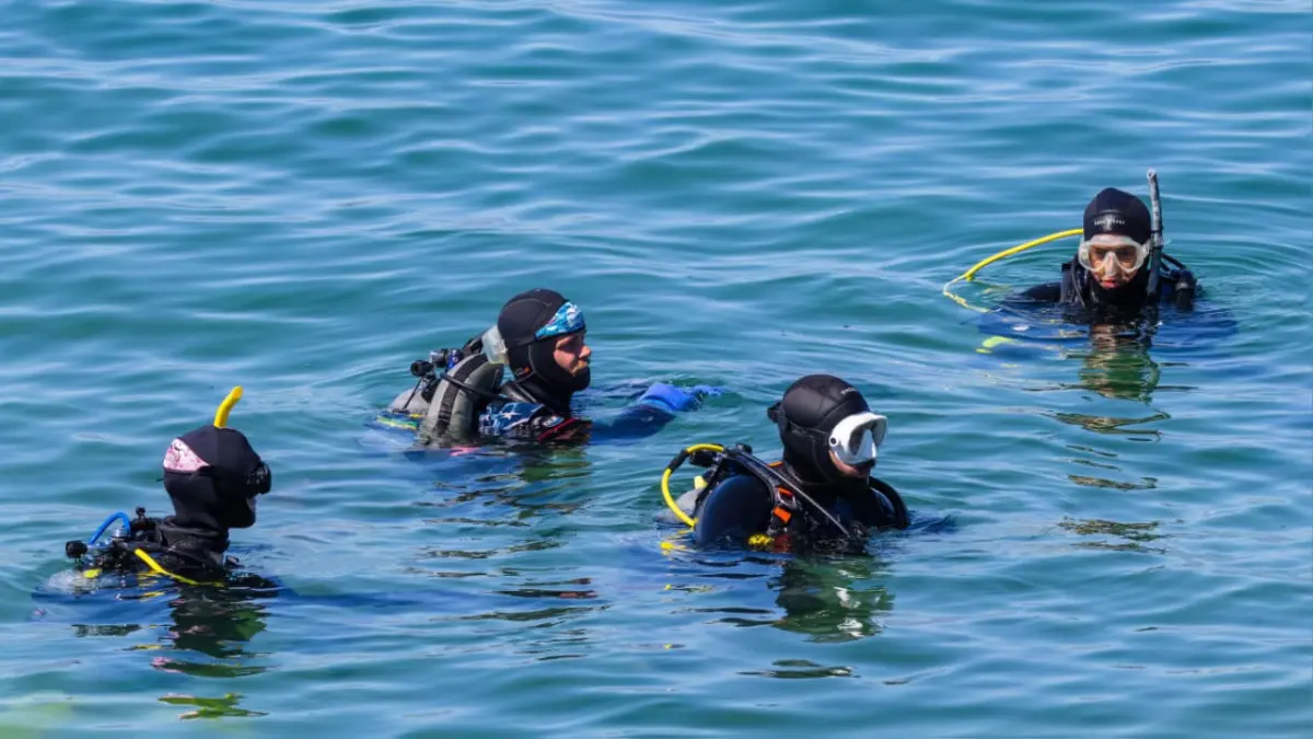 Banyuwangi memiliki beragam sekolah diving yang menawarkan pelatihan selam bersertifikasi internasional bagi pemula hingga profesional. (Pexels/Robert So)