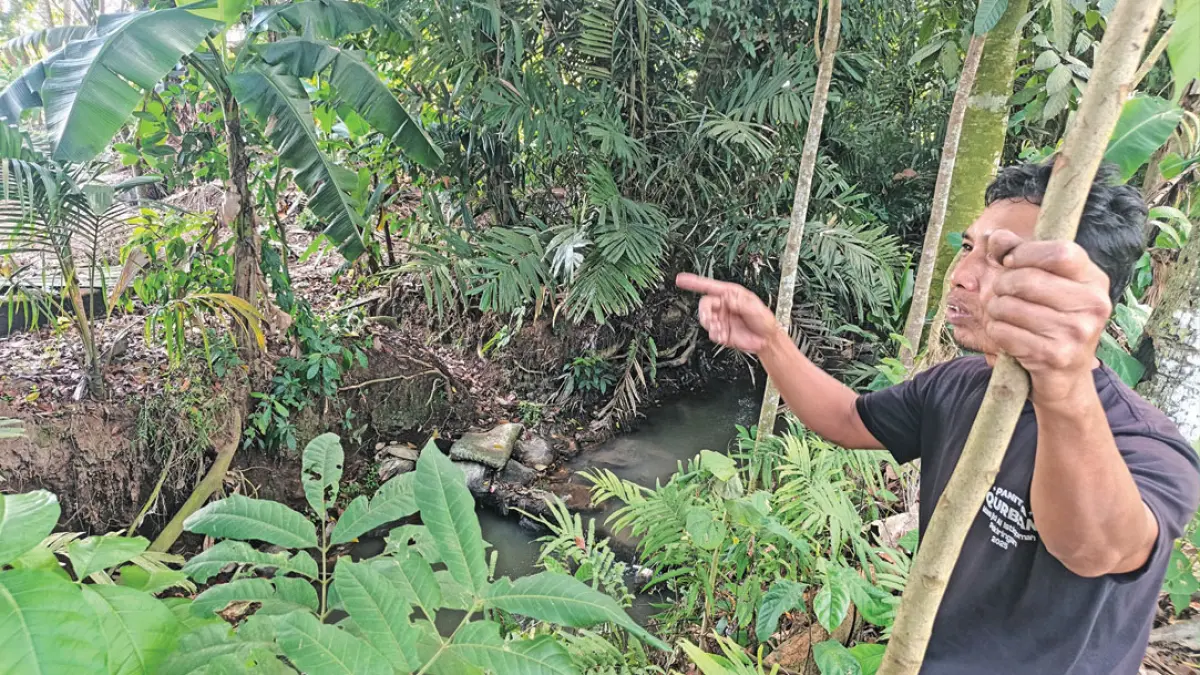 Mudofir, Warga Dusun Pekiringan, Desa Sumbersari, Kecamatan Srono, menunjukkan lokasi penemuan bocah yang sempat dikabarkan hilang, Rabu (5/8). (Zamrozi Wahyu/Radar Banyuwangi)