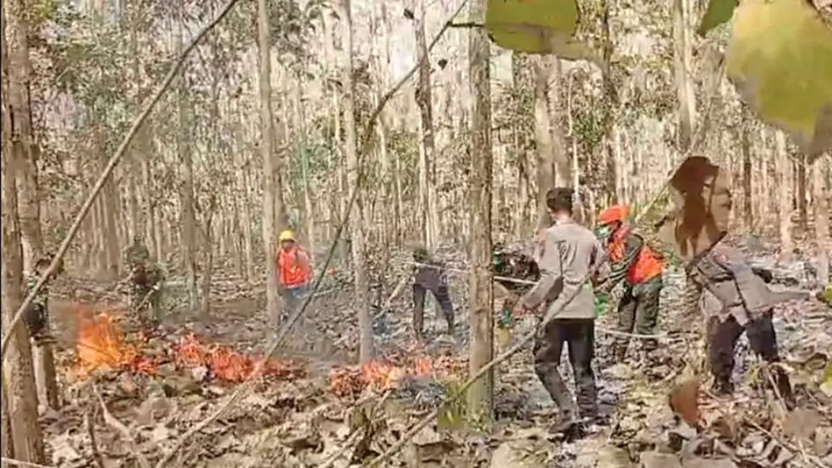 Petugas Gabungan memadamkan api yang membakar hutan jati di Desa Karetan, Kecamatan Purwoharjo, Rabu (5/8). (Agus Suhartono for Radar Banyuwangi)