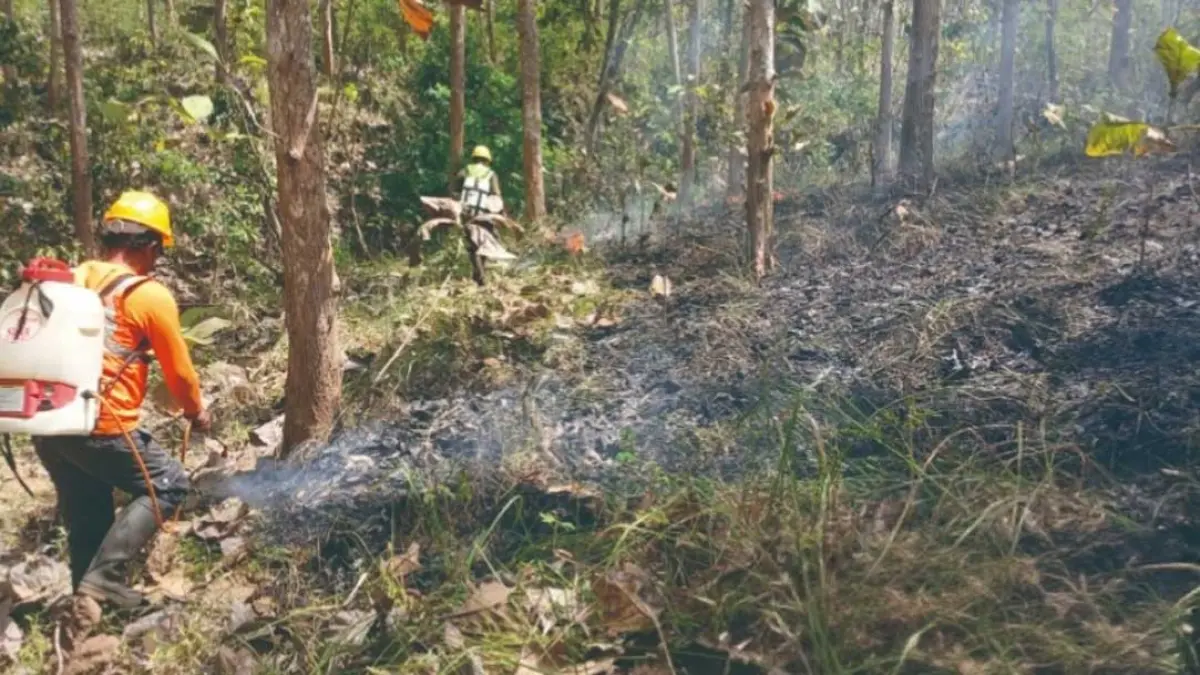 HANGUS: Petigas gabungan memadamkan api di area Hutan Jati Karetan masuk wilayah Petak 76A pada Rabu (5/8). (Agus Suhartono for Radar Banyuwangi)