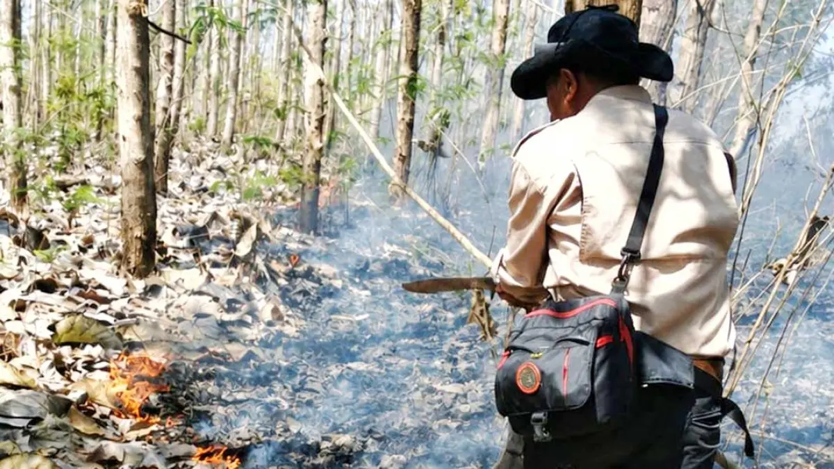 Petugas Perhutani bergegas melakukan pemadaman api di hutan jati di petak 82i RPH Kesilirbaru, BKPH Sukomade, KPH Banyuwangi Selatan, hangus terbakar, Kamis siang (6/8). (Sugeng for Radar Banyuwangi)