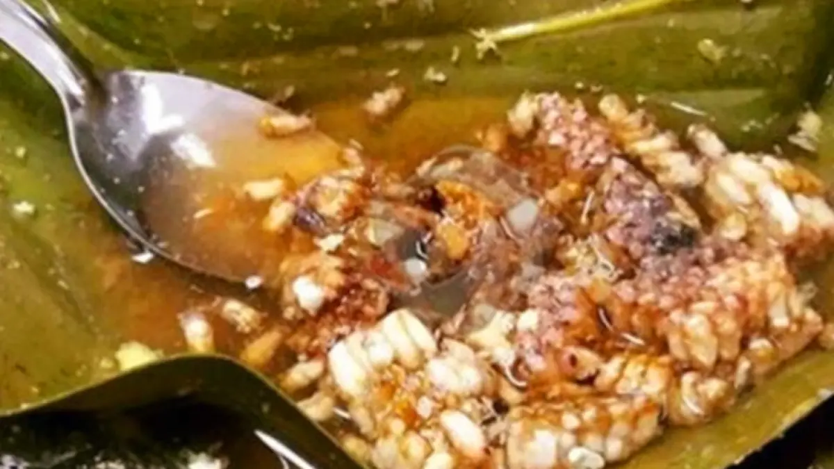 Botok Tawon khas Banyuwangi, kuliner unik dari sarang tawon dengan rempah dan larva gurih. (Radar Madiun)