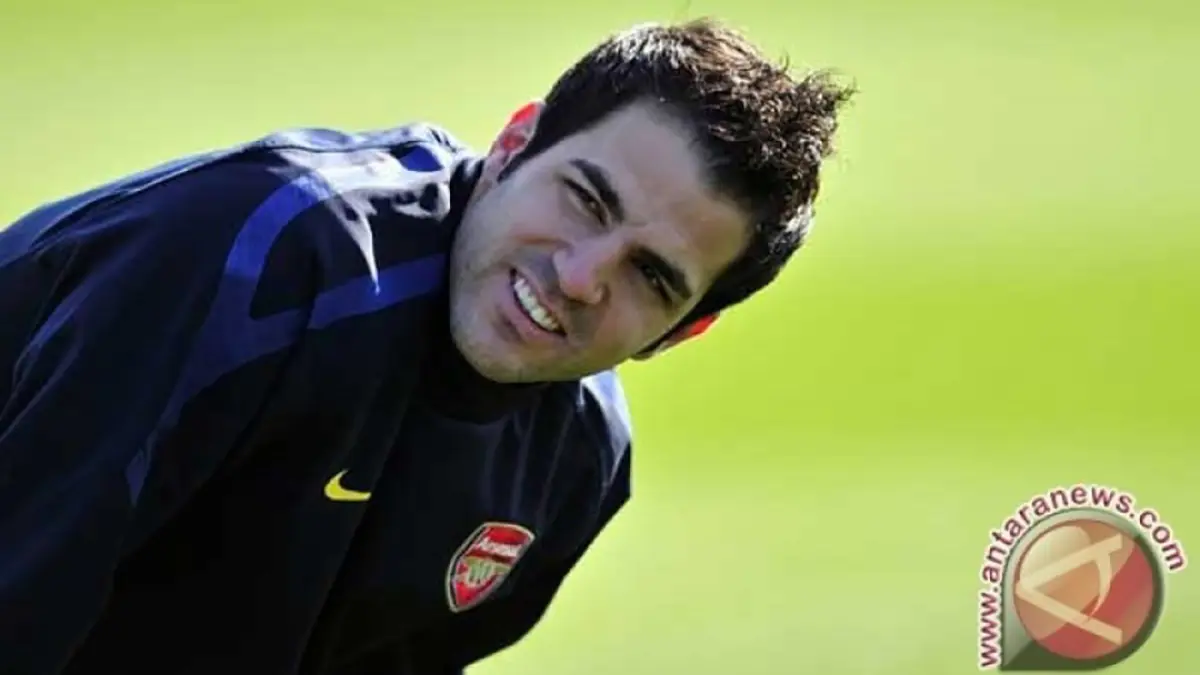 Cesc Fabregas (Foto: AFP/GLYN KIRK)