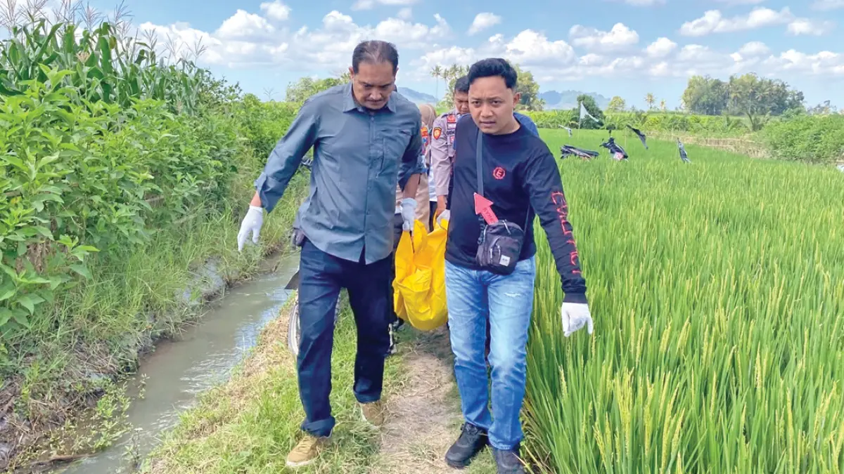 EVAKUASI: Jajaran Polsek Tegalsari mengevakuasi jenazah petani lansia yang meninggal dunia di persawahan Dusun Krajan 2, Desa Tegalsari, Kecamatan Tegalsari, pada Rabu pagi (12/8). (LITA for Radar Banyuwangi)