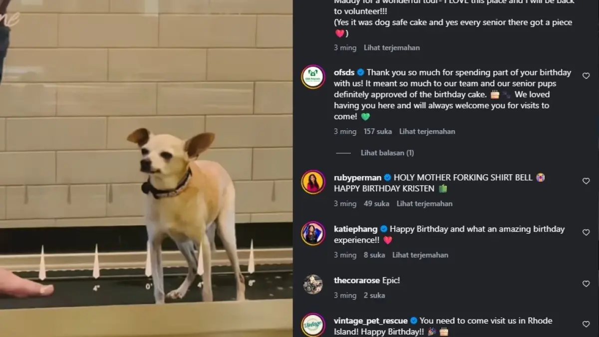 Kristen Bell membawa anjingnya, Frank, saat mengunjungi Disney Animation Studios. Bell kembali mengisi suara Anna dalam Frozen 3 yang tengah dikembangkan Disney. (Instagram/kristenanniebell)