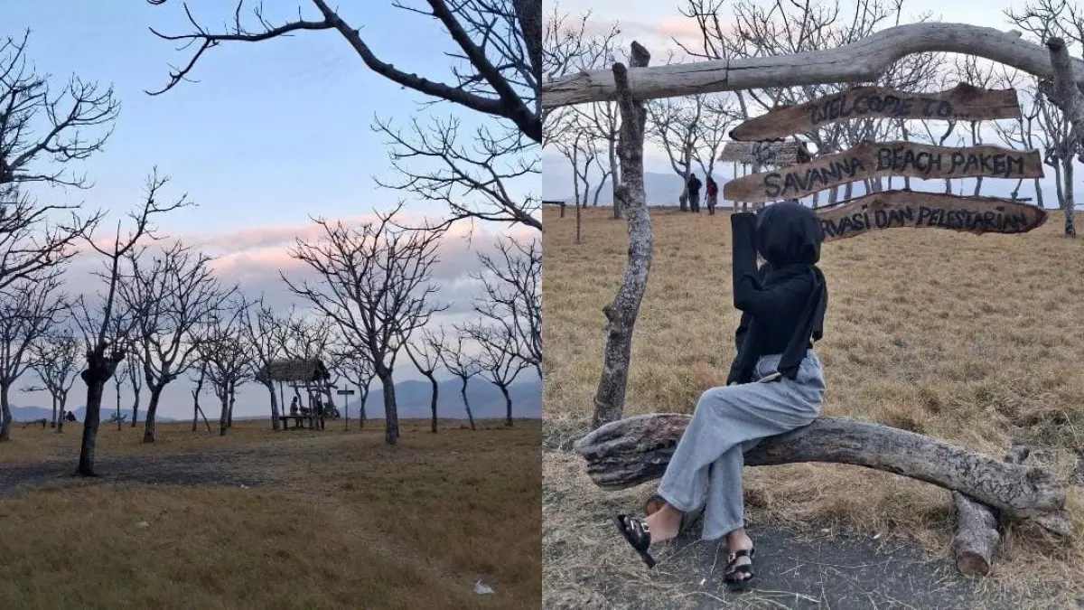 Lanskap Savana Beach Pakem di Banyuwangi menghadirkan perpaduan pohon meranggas, hamparan rumput, dan panorama pesisir. Destinasi yang ditata secara swadaya ini mulai ramai setelah viral di media sosial. (Mayang untuk Radar Banyuwangi)