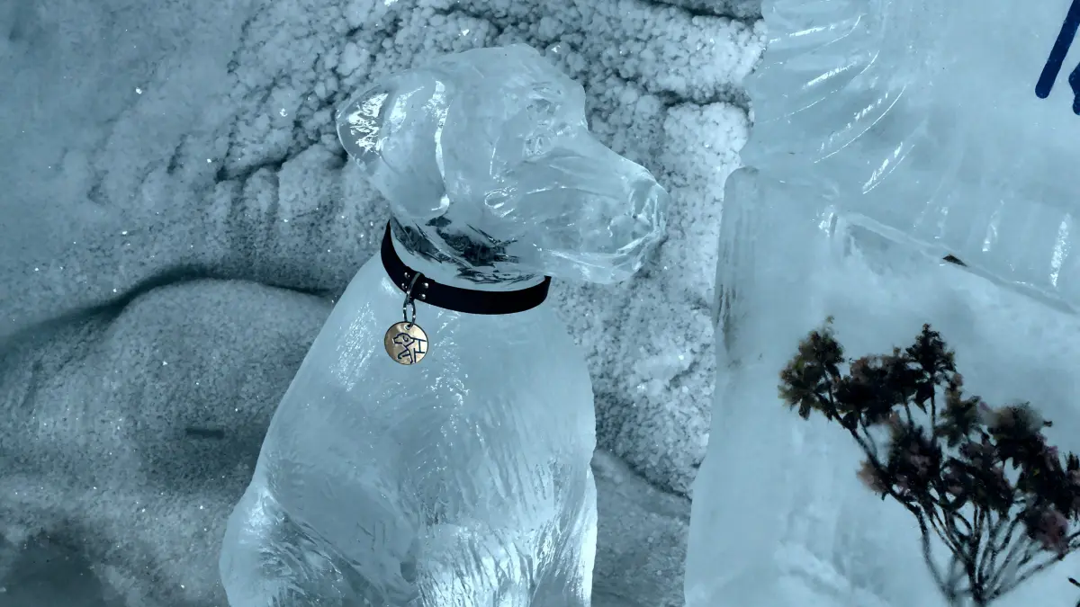 Karya tiga dimensi hasil ice sculpting. (Pexels/Jean-Paul Wettstein)