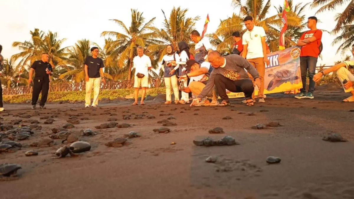 MENUJU LAUT : 1100 ekor Tukik dilepasliarkan bersama jajaran manajemen Indofood Noodle Surabaya di pantai Ketapang Indah Hotel pada Kamis (13/8) pagi. (Gerda/RadarBanyuwangi.id)