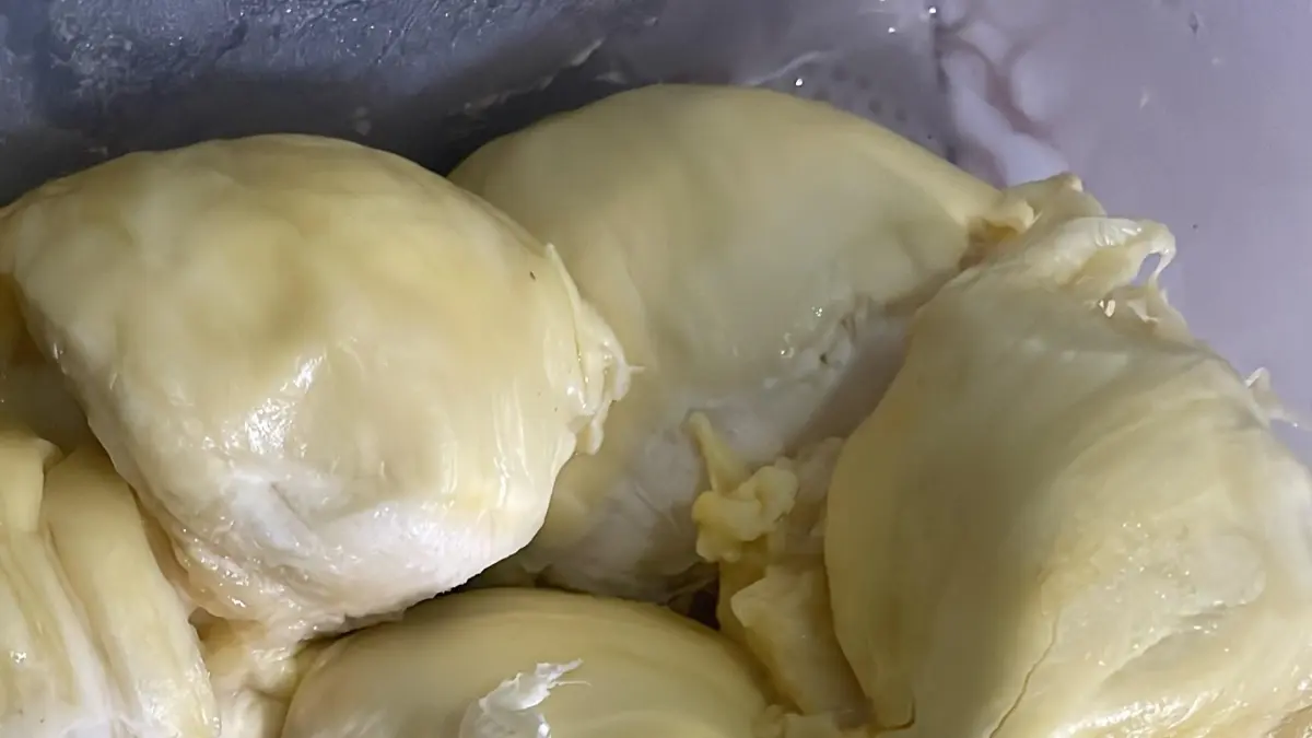 Menikmati durian bersama keluarga menjadi salah satu cara sederhana yang digemari pencinta buah berduri tersebut. Rasa khas dan tekstur lembut membuat durian tetap memiliki banyak penggemar. (Desi untuk Radar Banyuwangi)