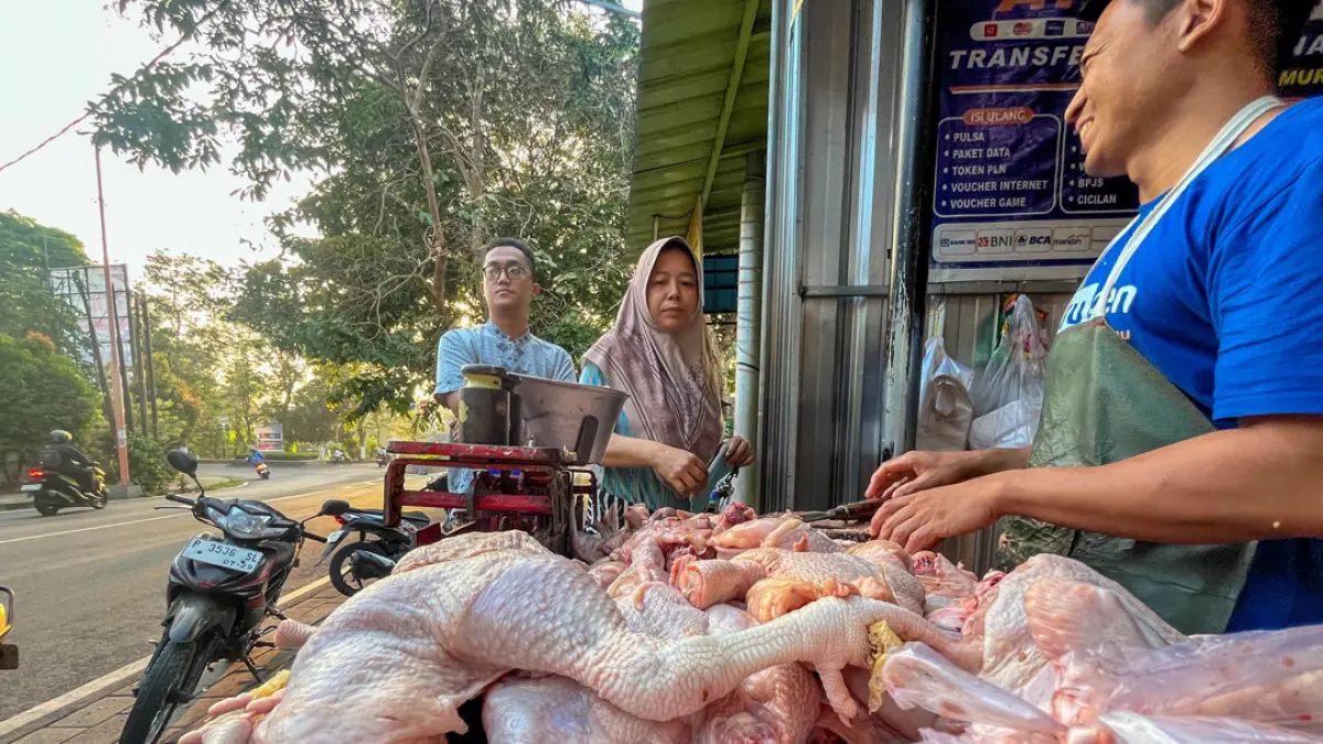 Harga ayam potong di Banyuwangi melonjak hingga Rp38 ribu per kilogram. Stok menipis, permintaan MBG naik, pedagang mulai khawatir pembeli beralih. (Ramada Kusuma/Radar Banyuwangi)