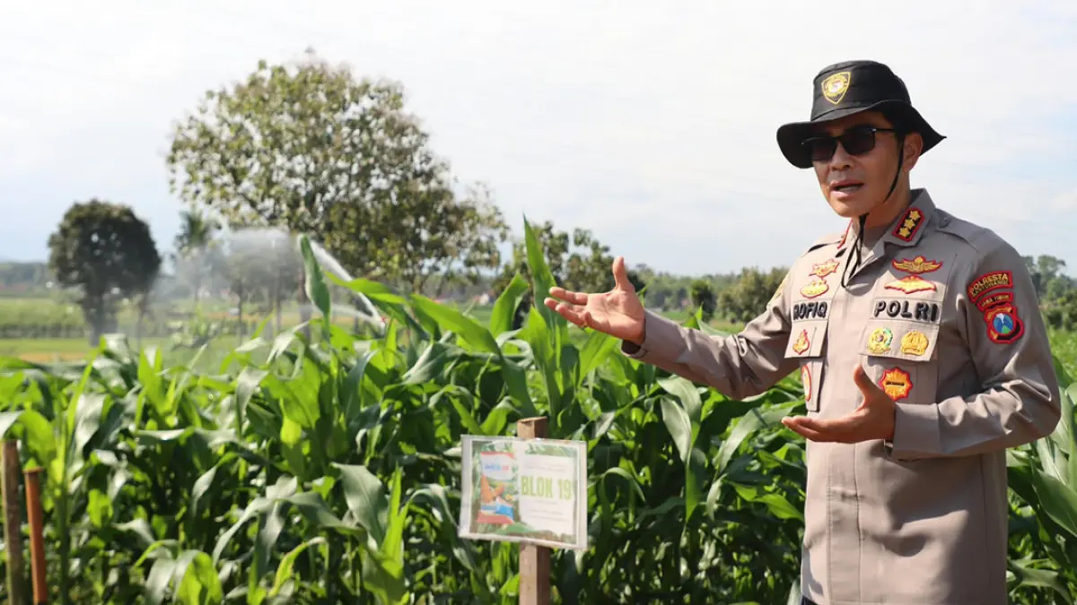 Kapolresta Banyuwangi Kombespol Rofiq Ripto Himawan mengunjungi lahan pertanian jagung di Green Farm, Kecamatan Sempu, Selasa (18/8). (Humas Polresta Banyuwangi)