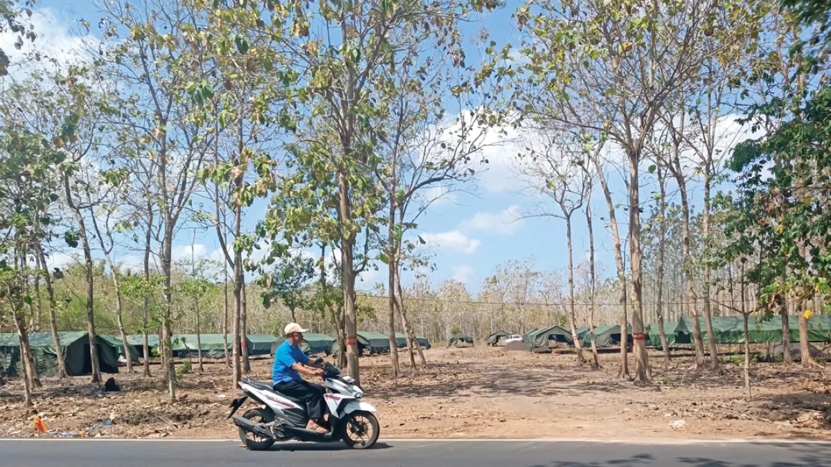 Tenda barak militer terpasang di kawasan Hutan Karetan, Kecamatan Purwoharjo, Kamis (20/8). (Zamrozi Wahyu/Radar Banyuwangi)