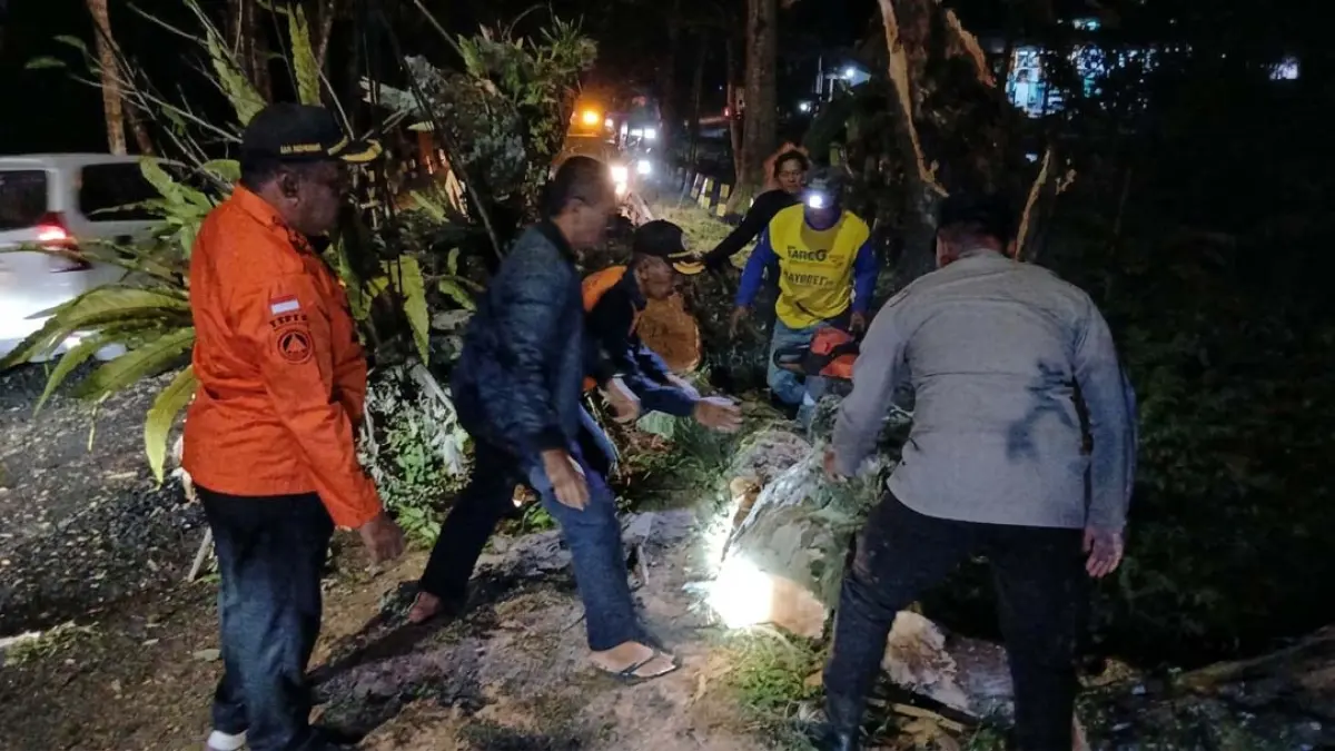 Petugas gabungan melakukan evakuasi pohon tumbang di Jalur Gumitir tepatnya di ruas jalan sebelah barat Gapura Jawa Timur, Kecamatan Kalibaru, Kamis (20/8) malam. (Ismanto for Radar Banyuwangi)